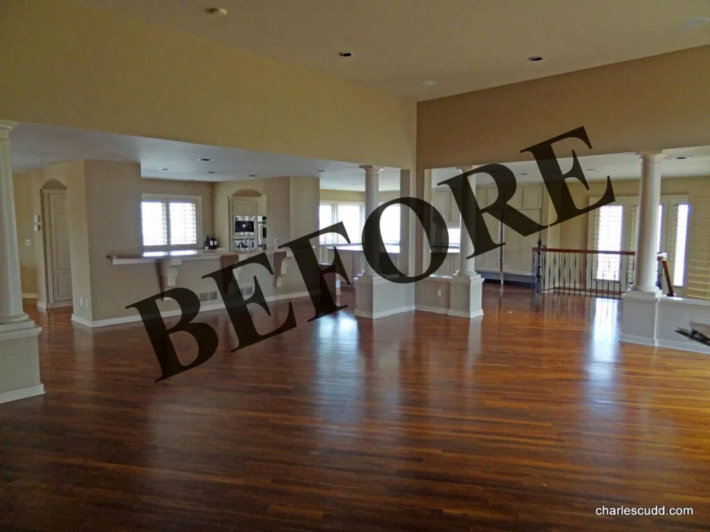 Remodeling Showcase Home Edina