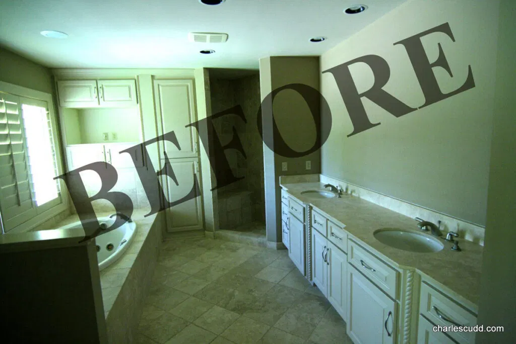 Remodeling Showcase Home Edina